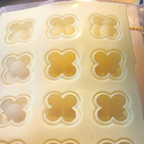Multi cavity silicone - multi-cavity,